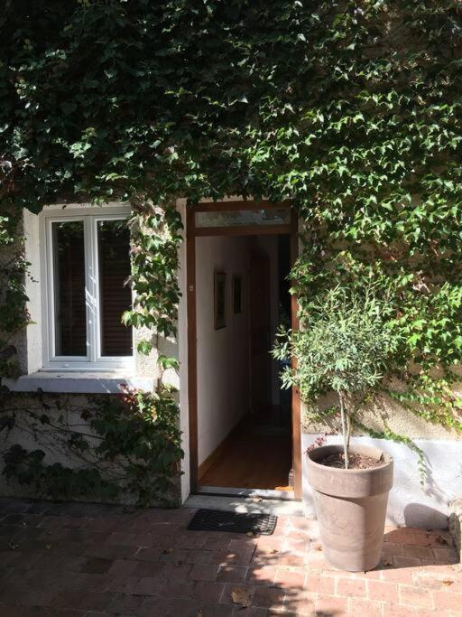 Appartamento Studio Close Fourviere Very Quiet & Small Terrace Lione Esterno foto